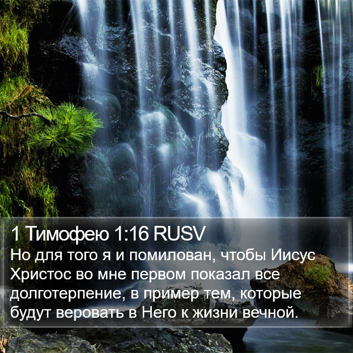 1 Тимофею 1:16 RUSV Bible Study