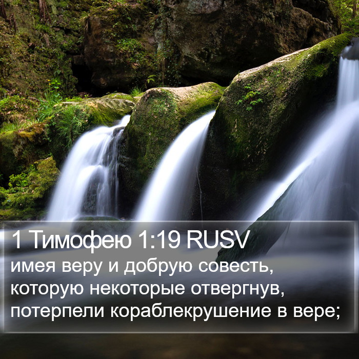 1 Тимофею 1:19 RUSV Bible Study