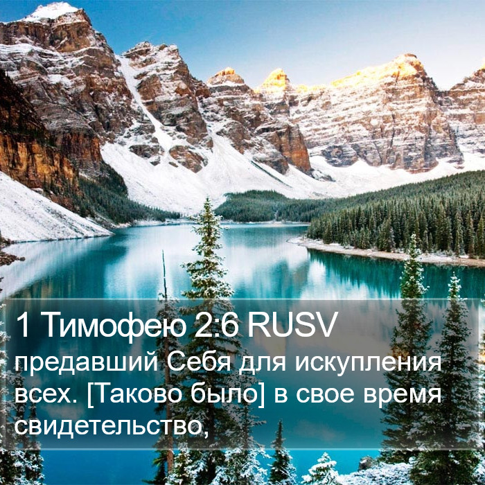 1 Тимофею 2:6 RUSV Bible Study