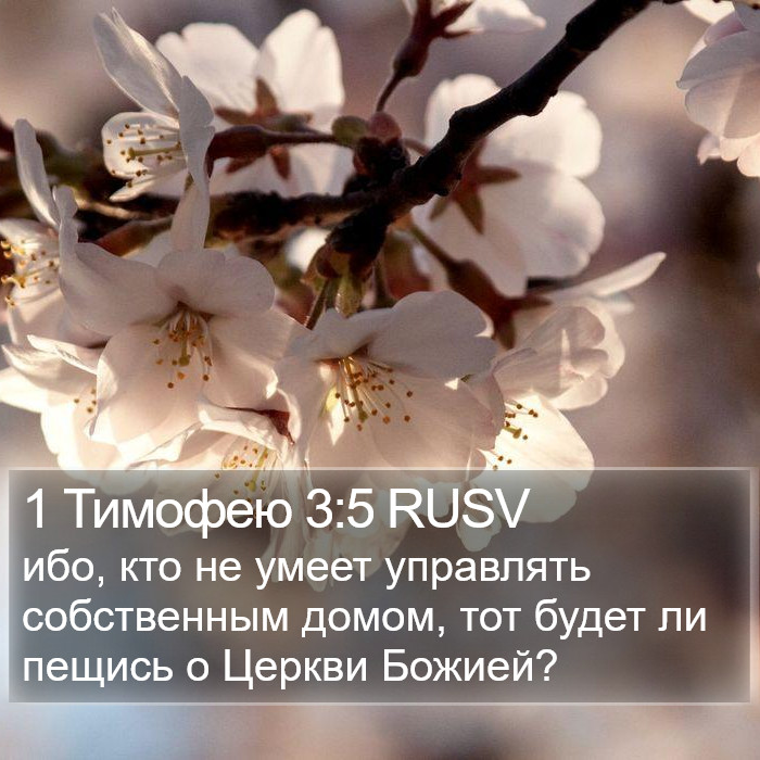 1 Тимофею 3:5 RUSV Bible Study