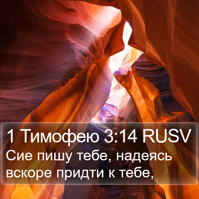 1 Тимофею 3:14 RUSV Bible Study