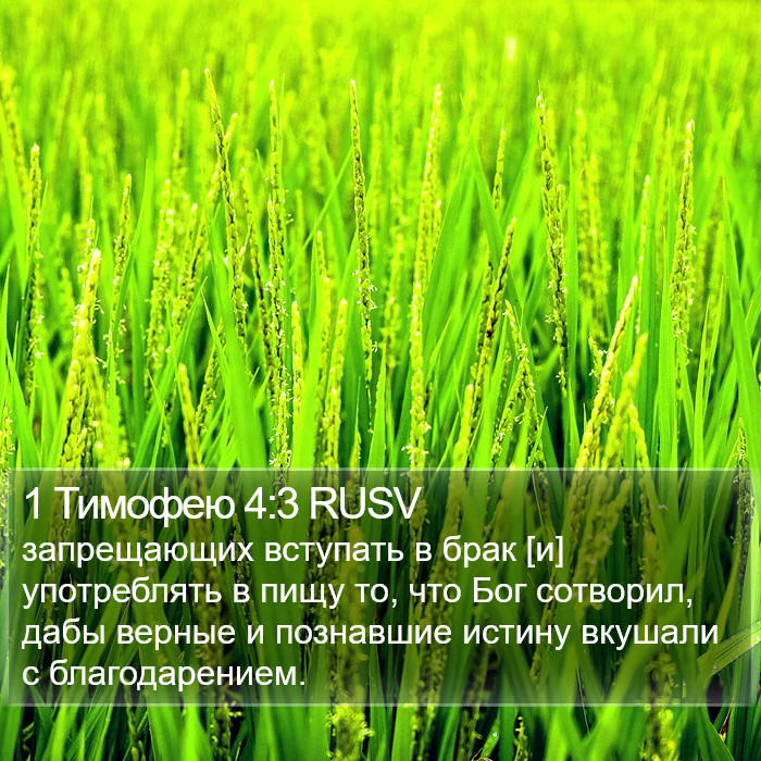 1 Тимофею 4:3 RUSV Bible Study