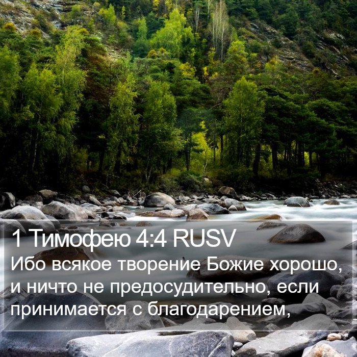 1 Тимофею 4:4 RUSV Bible Study