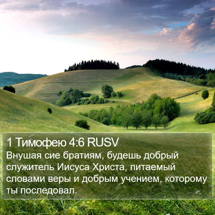 1 Тимофею 4:6 RUSV Bible Study