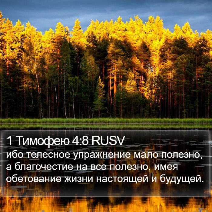 1 Тимофею 4:8 RUSV Bible Study