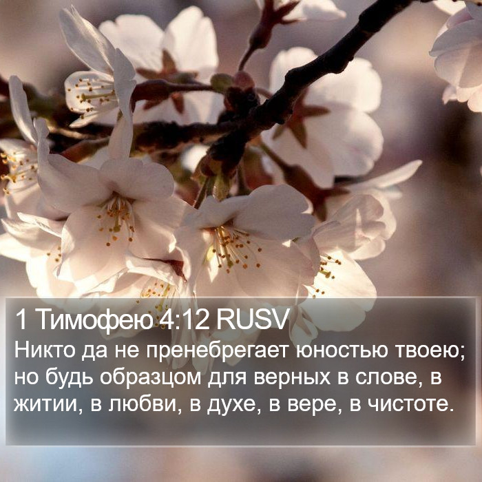 1 Тимофею 4:12 RUSV Bible Study