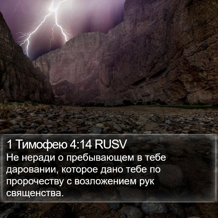 1 Тимофею 4:14 RUSV Bible Study