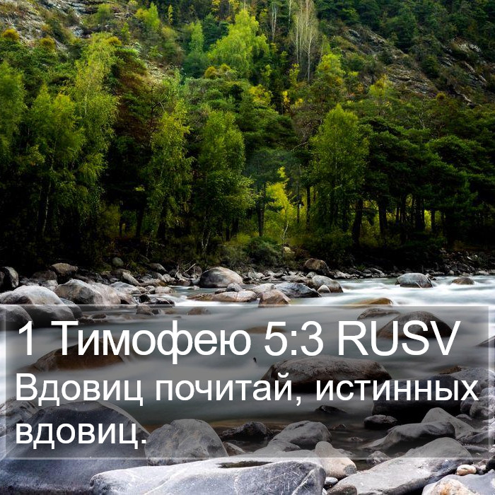 1 Тимофею 5:3 RUSV Bible Study