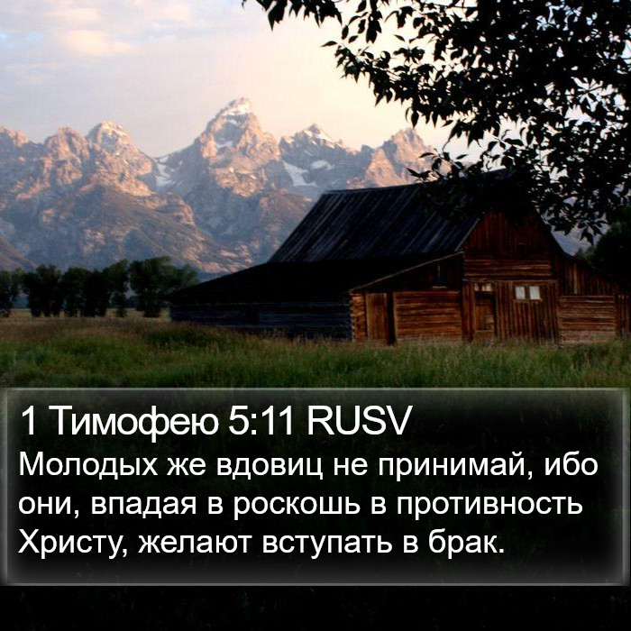 1 Тимофею 5:11 RUSV Bible Study
