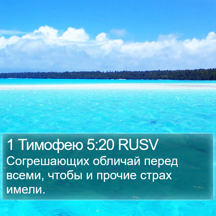 1 Тимофею 5:20 RUSV Bible Study