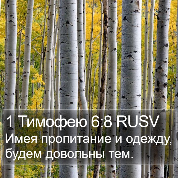 1 Тимофею 6:8 RUSV Bible Study