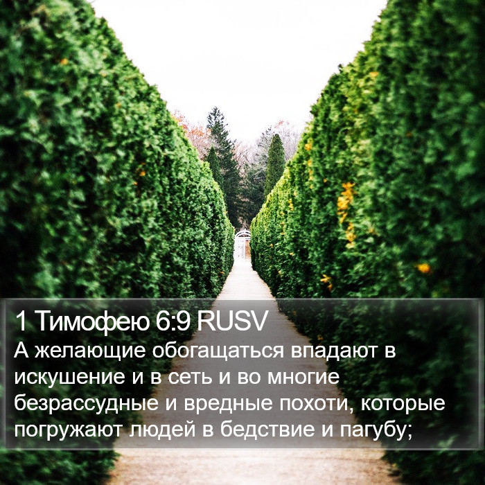 1 Тимофею 6:9 RUSV Bible Study