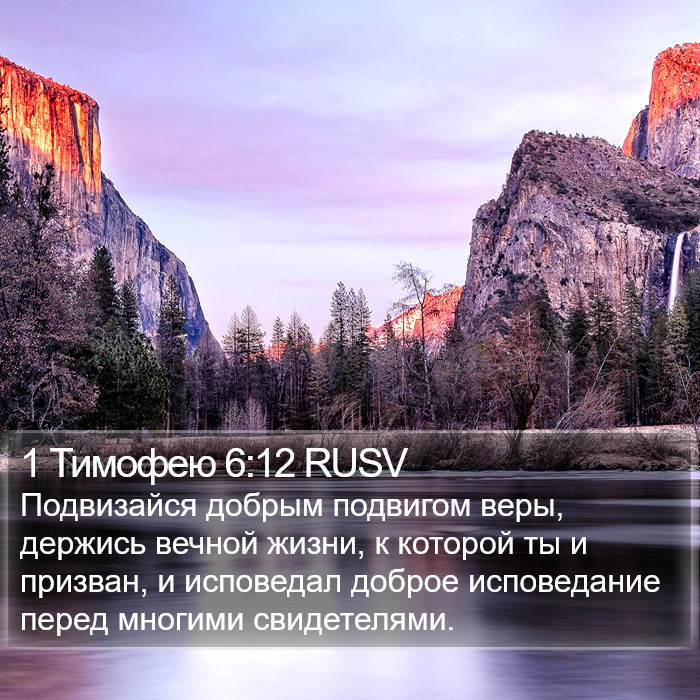 1 Тимофею 6:12 RUSV Bible Study