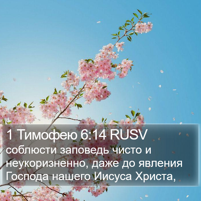 1 Тимофею 6:14 RUSV Bible Study