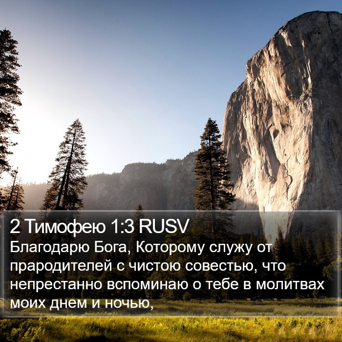 2 Тимофею 1:3 RUSV Bible Study