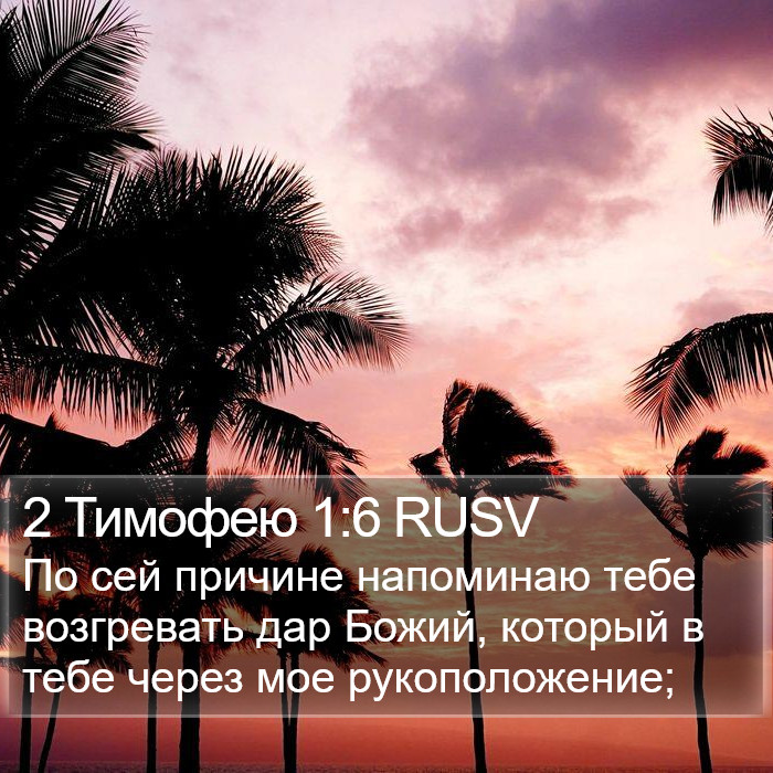 2 Тимофею 1:6 RUSV Bible Study