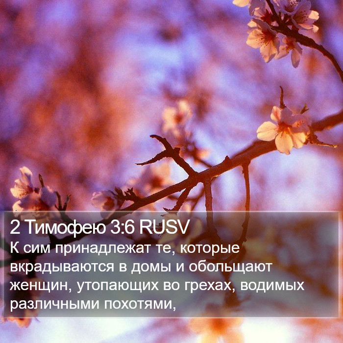 2 Тимофею 3:6 RUSV Bible Study