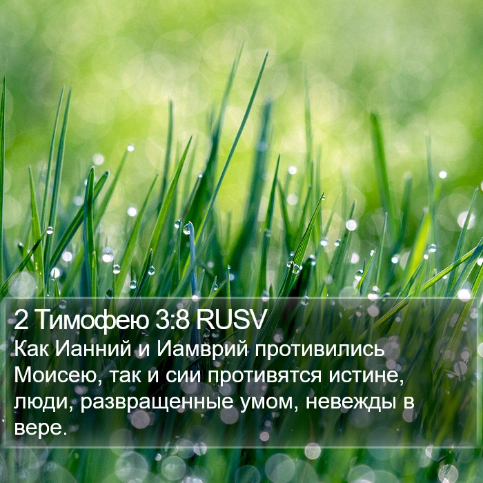 2 Тимофею 3:8 RUSV Bible Study