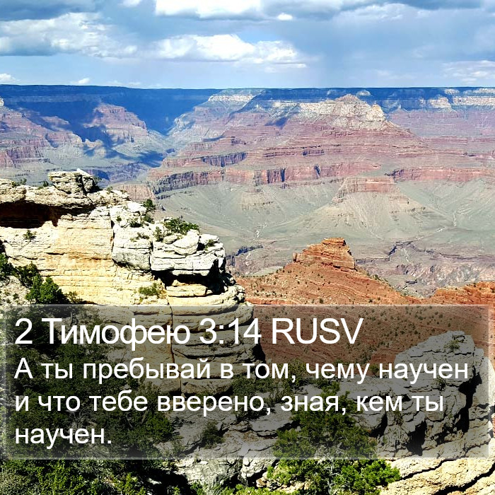 2 Тимофею 3:14 RUSV Bible Study