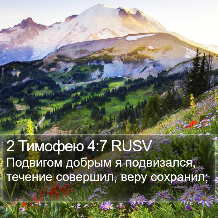 2 Тимофею 4:7 RUSV Bible Study