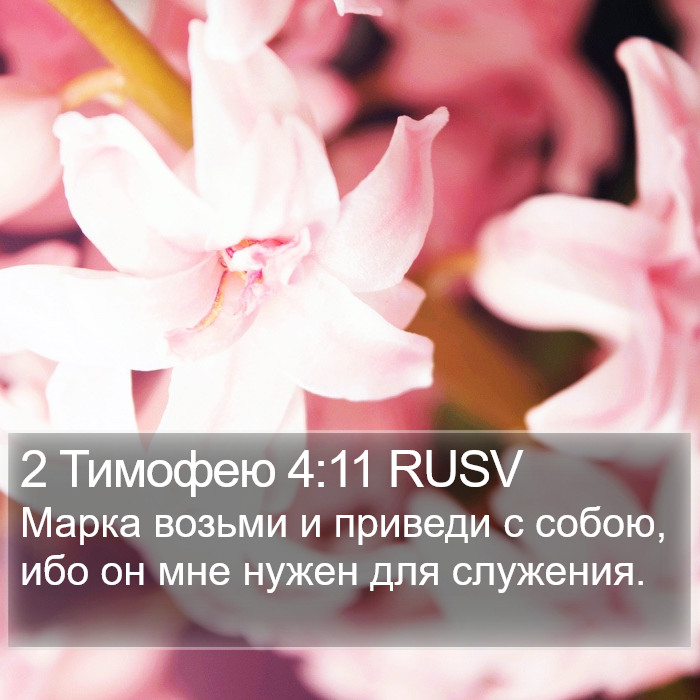 2 Тимофею 4:11 RUSV Bible Study