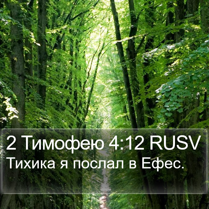 2 Тимофею 4:12 RUSV Bible Study