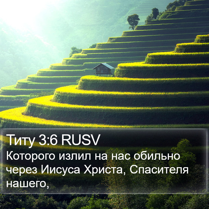 Титу 3:6 RUSV Bible Study