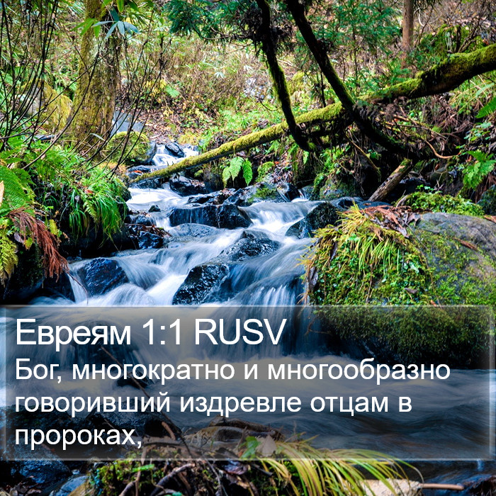 Евреям 1:1 RUSV Bible Study