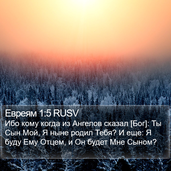 Евреям 1:5 RUSV Bible Study