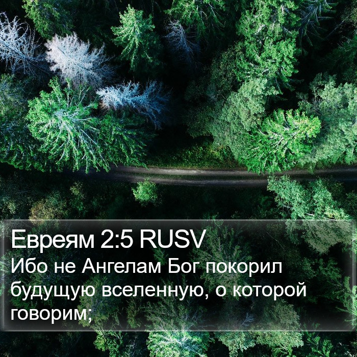 Евреям 2:5 RUSV Bible Study