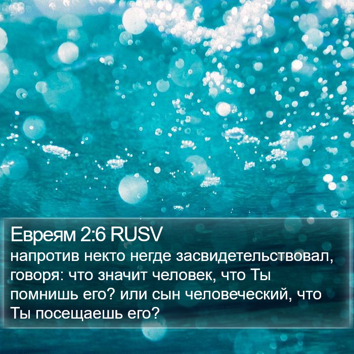 Евреям 2:6 RUSV Bible Study