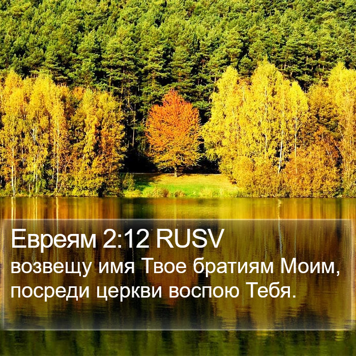 Евреям 2:12 RUSV Bible Study