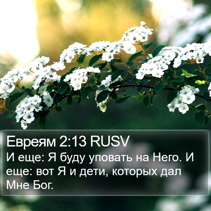 Евреям 2:13 RUSV Bible Study