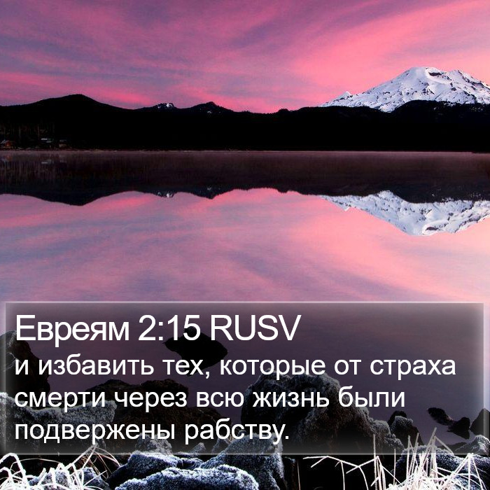 Евреям 2:15 RUSV Bible Study