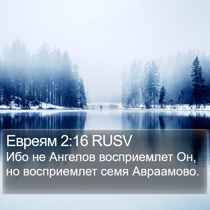 Евреям 2:16 RUSV Bible Study