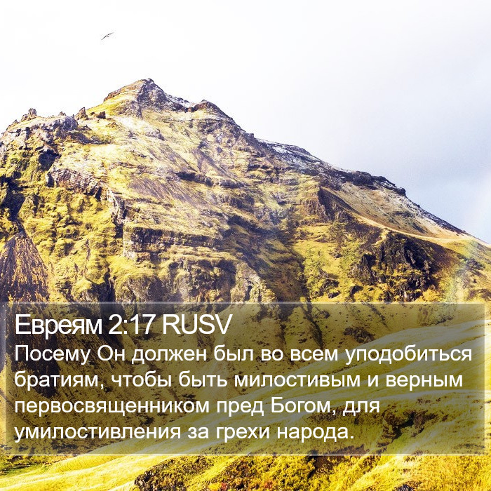 Евреям 2:17 RUSV Bible Study