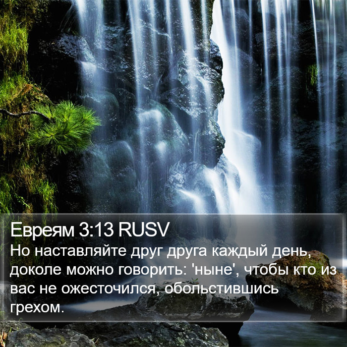 Евреям 3:13 RUSV Bible Study