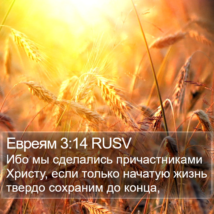 Евреям 3:14 RUSV Bible Study