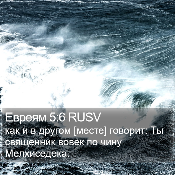 Евреям 5:6 RUSV Bible Study
