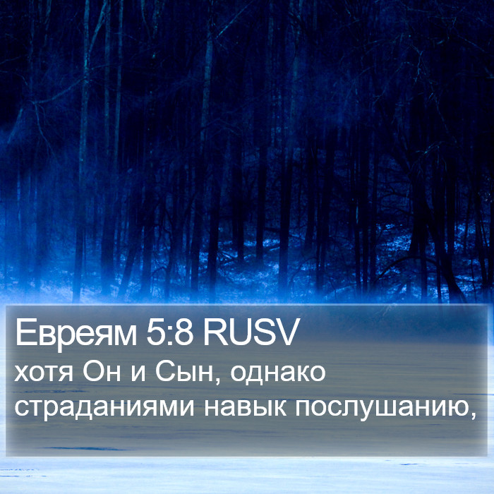 Евреям 5:8 RUSV Bible Study