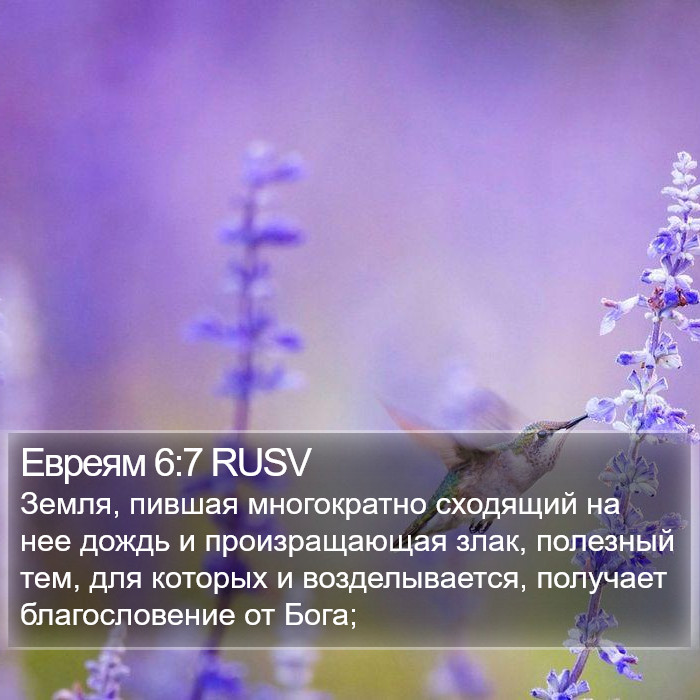 Евреям 6:7 RUSV Bible Study
