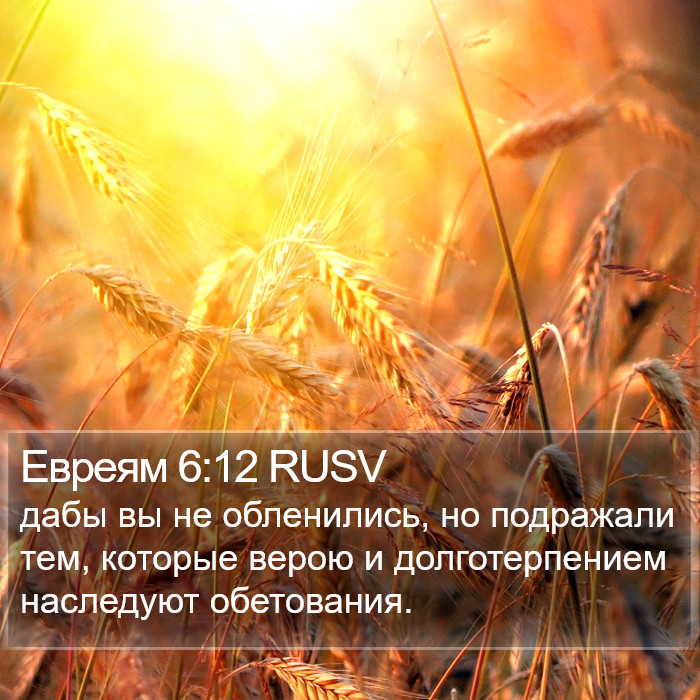 Евреям 6:12 RUSV Bible Study