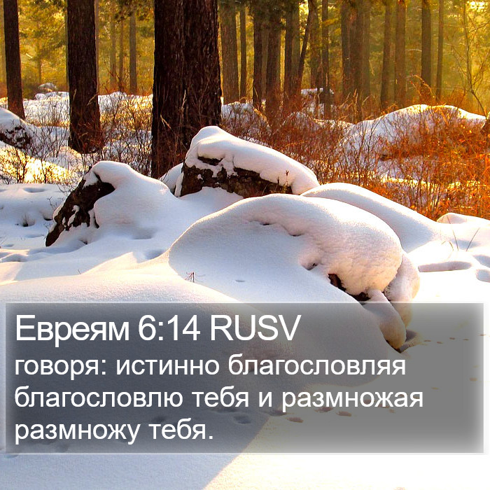 Евреям 6:14 RUSV Bible Study