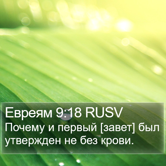 Евреям 9:18 RUSV Bible Study