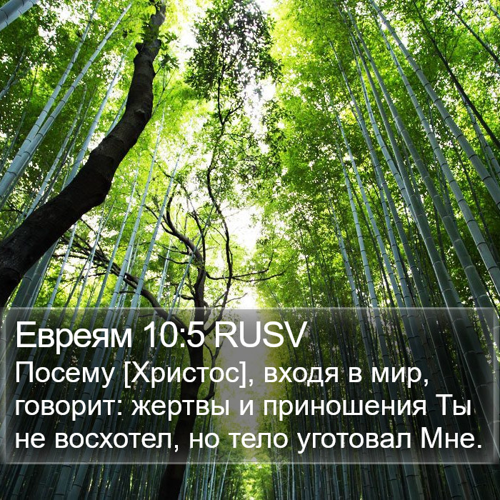 Евреям 10:5 RUSV Bible Study