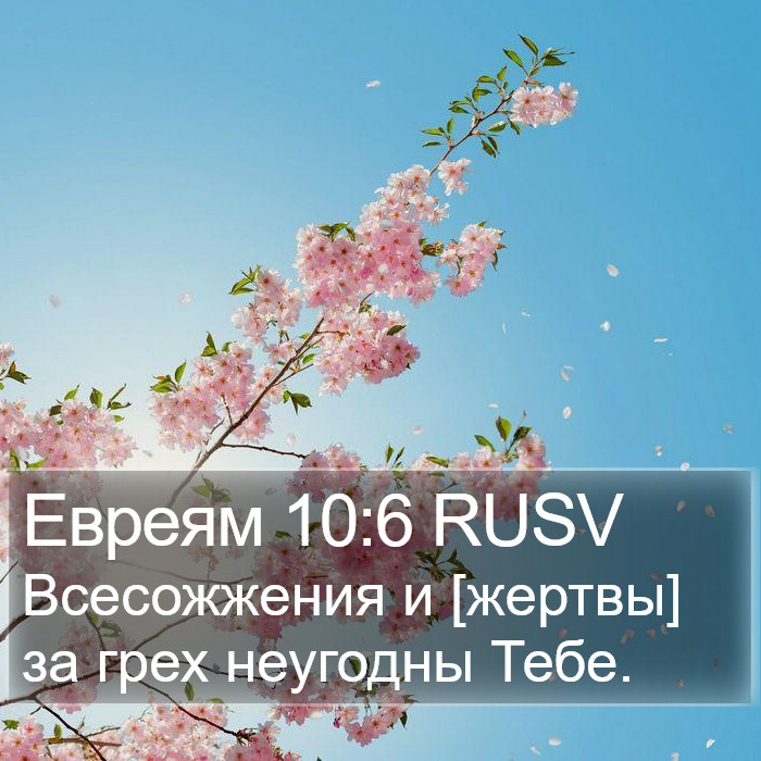 Евреям 10:6 RUSV Bible Study