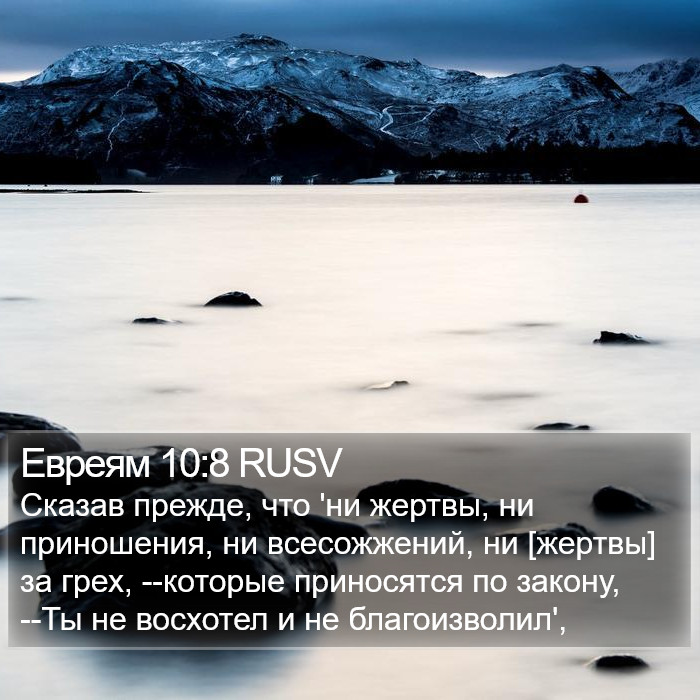 Евреям 10:8 RUSV Bible Study