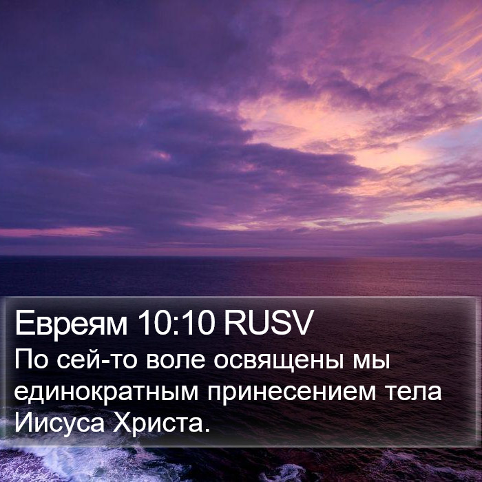 Евреям 10:10 RUSV Bible Study