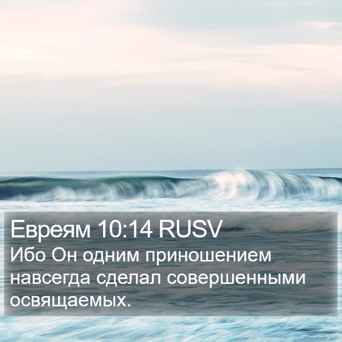 Евреям 10:14 RUSV Bible Study