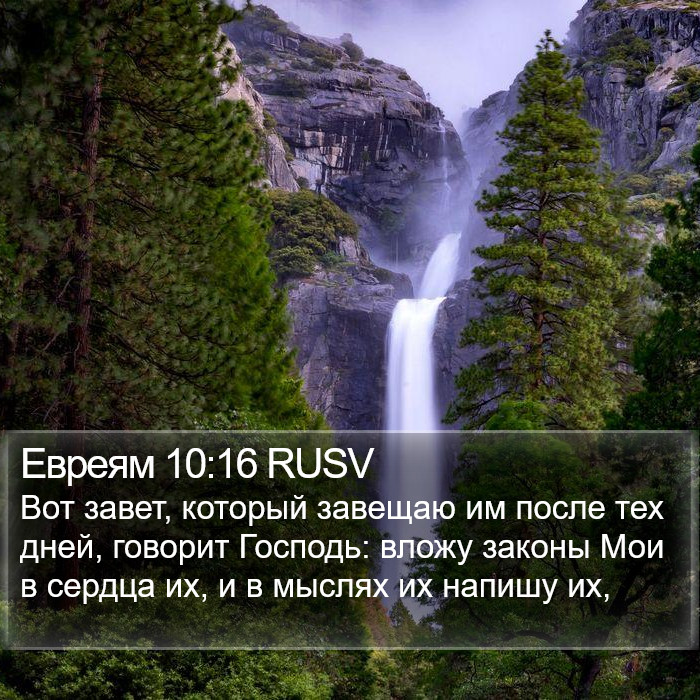 Евреям 10:16 RUSV Bible Study